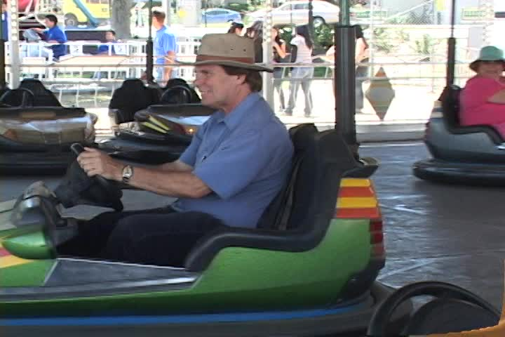 Out & About • Cats and Bees