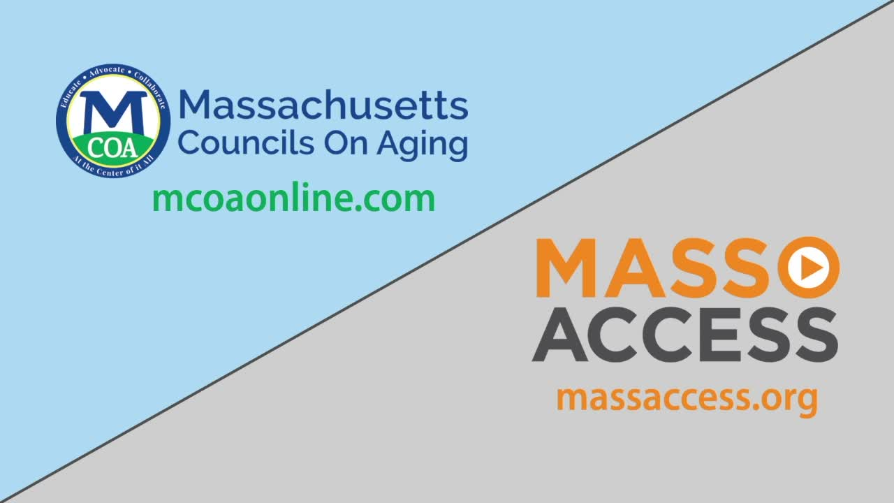 Massachusetts in the Woman Suffrage Movement